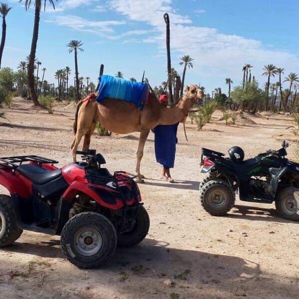 3-Hour Safari by Quad Bike & Camel Ride