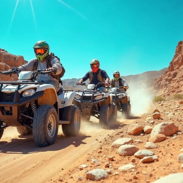 3-Hours Safari by Quad Bike & Camel Ride