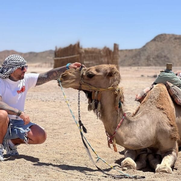 3-Hours Safari by Quad Bike & Camel Ride