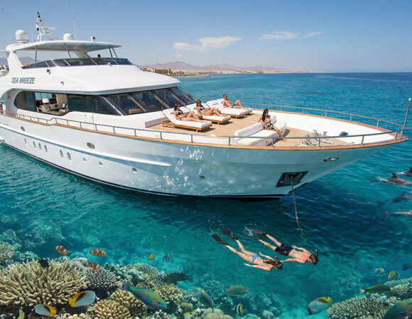 Dolphin Watching and Snorkeling Tour