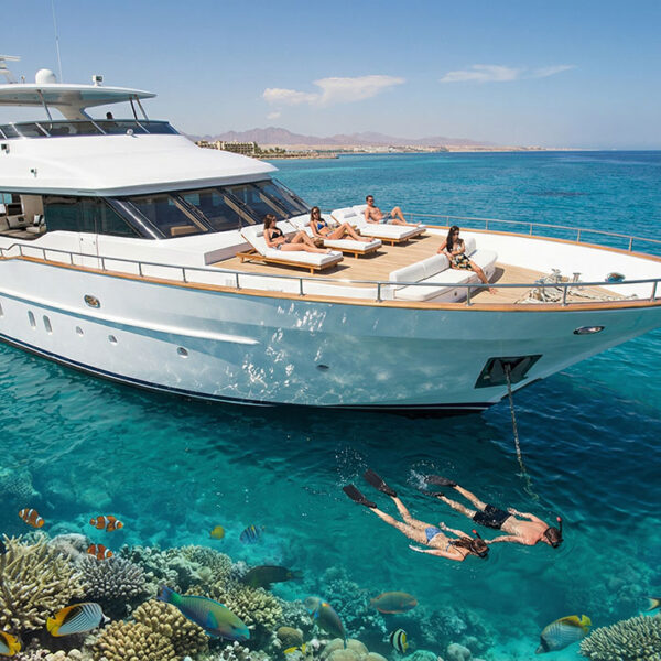 Dolphin Watching and Snorkeling Tour