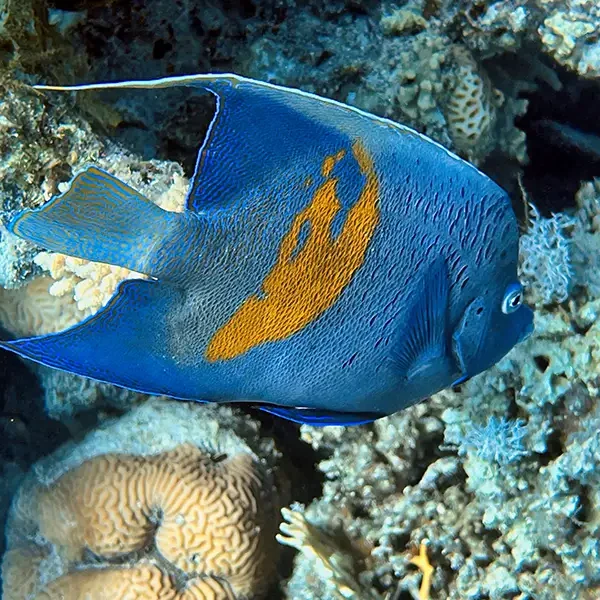 Moodtours Scuba Diving