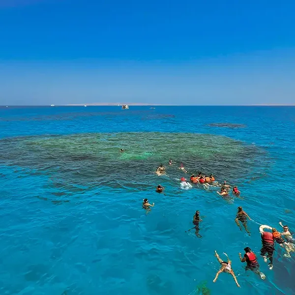 Orange Bay Island with Snorkeling I Moodtours