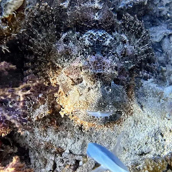 Moodtours Scuba Diving