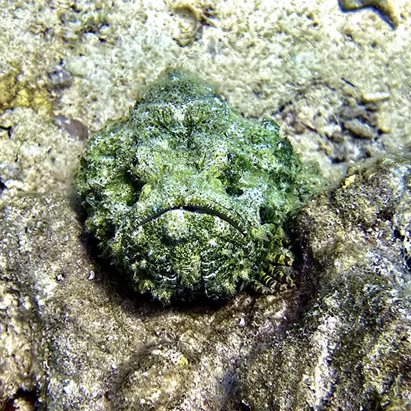 Moodtours Scuba Diving