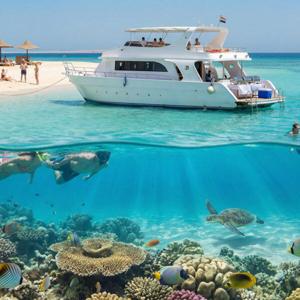 Orange Bay Island with Snorkeling