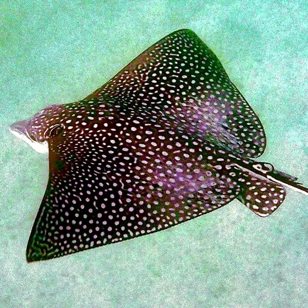 Moodtours Scuba Diving