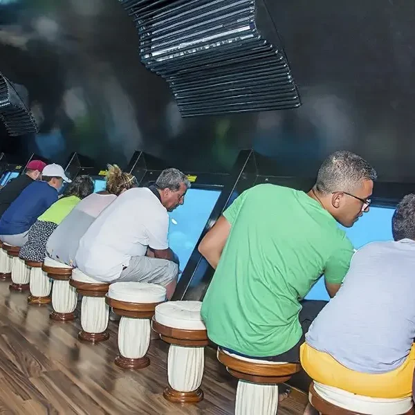 Royal Seascope Submarine Hurghada – Semi-Submarine Tour & Snorkeling