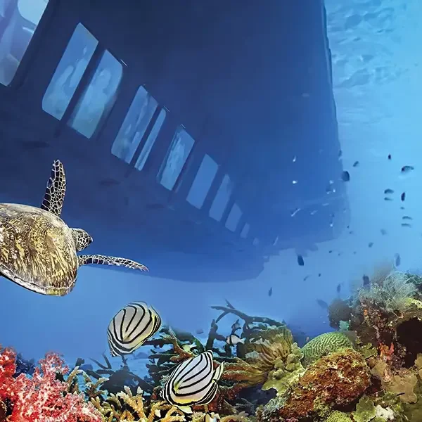 Royal Seascope Submarine Hurghada – Semi-Submarine Tour & Snorkeling