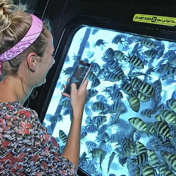 Royal Seascope Submarine Hurghada – Semi-Submarine Tour & Snorkeling